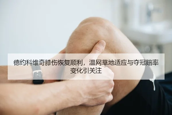 de-yue-ke-wei-qi-xi-shang-hui-fu-shun-li-wen-wang-cao-di-shi-ying-yu-duo-guan-pei-lv-bian-hua-yin-guan-zhu-3-837.jpg
