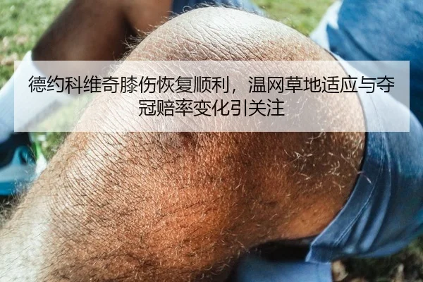 德约科维奇膝伤恢复顺利，温网草地适应与夺冠赔率变化引关注
