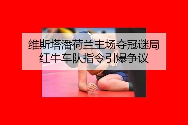 wei-si-ta-pan-he-lan-zhu-chang-duo-guan-mi-ju-hong-niu-che-dui-zhi-ling-yin-bao-zheng-yi-3-409.jpg